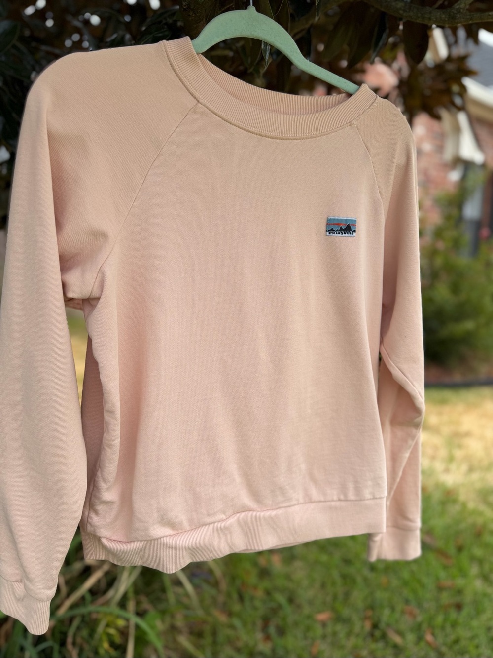 Patagonia Blush Pink Organic Cotton Crewneck Sweatshirt XS